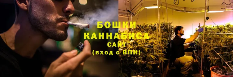 Марихуана White Widow  Болотное 